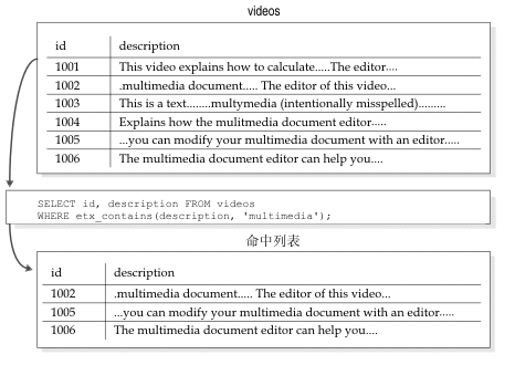 显示一个基本搜索，以从其列包含关键字“multimedia”的各种拼写形式的表中获取包含该关键字的行。命中列表返回两个具有与搜索关键字相同拼写形式的行。