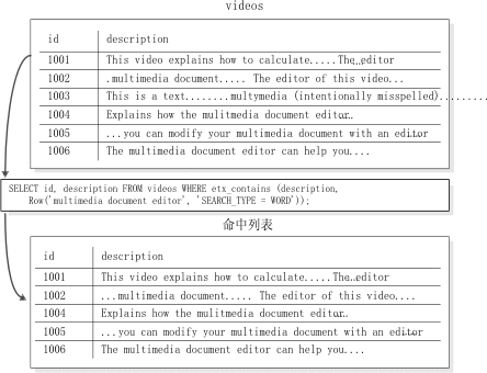 显示将 SEARCH_TYPE 调整参数用于单个词。videos 表的命中列表是包含下列词的那些行：“multimedia”、“document”和“editor”。