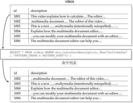 显示将 PATTERN_TRANS 和 PATTERN_SUBS 调整参数组合用于关键字“multimedia”。videos 表的命中列表是那些包含词“multimedia”、“multymedia”和“mulitmedia”的行。
