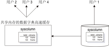 用户的 syscolumn 信息置于与系统的其他用户共享的共享内存数据字典高速缓存中。