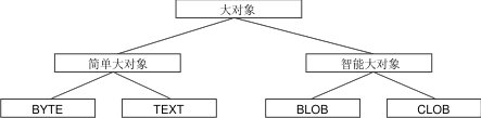 标注的矩形描绘大对象数据类型的逻辑层次结构。简单大对象包括 BYTE 和 TEXT 数据类型。智能大对象包括 BLOB 和 CLOB 数据类型。结束图片描述