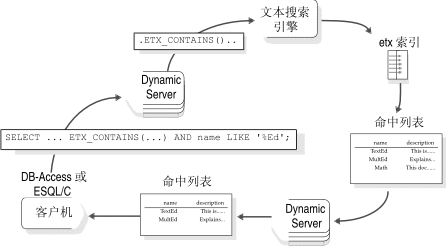 此图显示一个 SELECT 查询，它使用 etx_contains() 运算符以及 SQL LIKE 关键字，以返回满足 WHERE 子句的这两个条件的值。